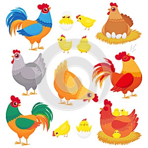 Cute domestic chicken. Farm breeding hen, poultry rooster and chickens with chick. Hens cartoon vector set