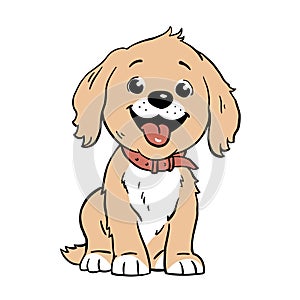 Cute domestic dog on white background
