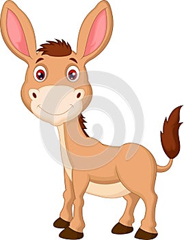 Cute donkey cartoon