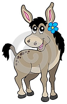 Cute donkey with flower