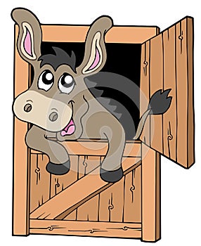 Cute donkey in stable