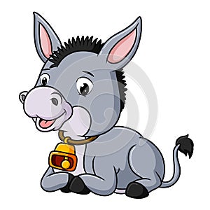 The cute donkey is wearing a neck bell and sitting