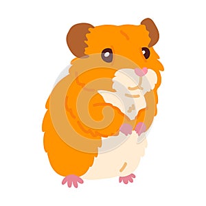 cute doodle baby hamster