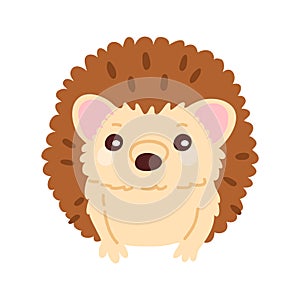 cute doodle baby hedgehog