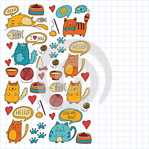 Cute doodle cats, kitty Domestic cats Vector sets with cute kittens for pet shop, cattery, veterinary clinic Doodle