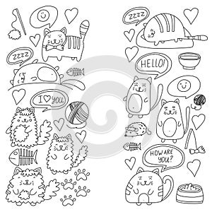 Cute doodle cats, kitty Domestic cats Vector sets with cute kittens for pet shop, cattery, veterinary clinic Doodle