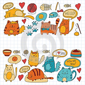 Cute doodle cats, kitty Domestic cats Vector sets with cute kittens for pet shop, cattery, veterinary clinic Doodle