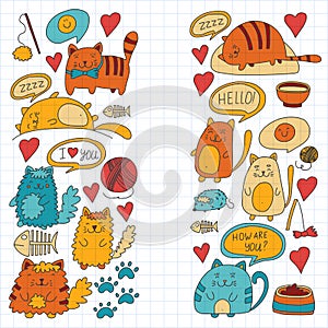 Cute doodle cats, kitty Domestic cats Vector sets with cute kittens for pet shop, cattery, veterinary clinic Doodle