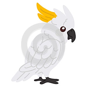 cute doodle cockatoo parrot