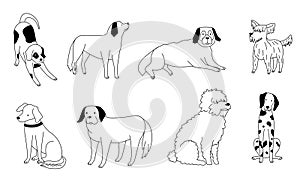 Cute doodle dog. Outlined black puppies in various positions. Hand drawn playing, running and lying. Adorable animal