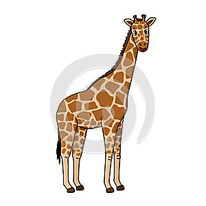 Cute doodle giraffe. Vector outline cartoon, single isolated, illustration on white background. Savannah animal smiling, side view