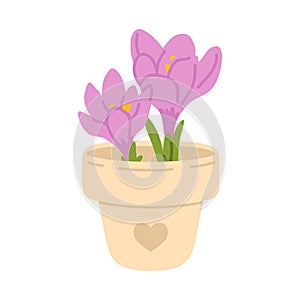 Cute doodle spring flower crocuses