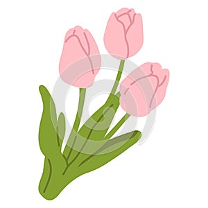 cute doodle spring flower tulips