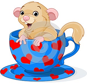 Cute dormouse