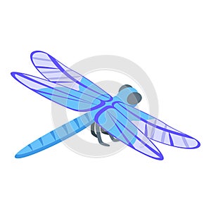 Cute dragonfly icon isometric vector. Insect wing