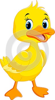 Cute duck cartoon