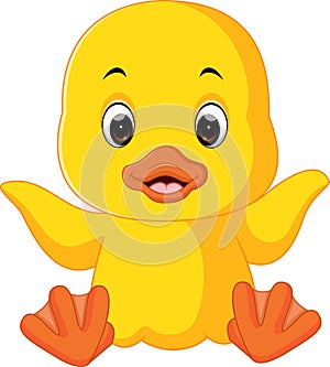 Cute duck cartoon