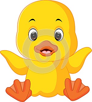 Cute duck cartoon