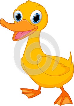 Cute duck cartoon