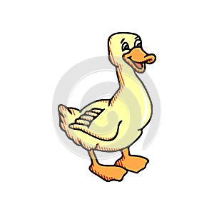 Cute duck cartoon isolated on white background