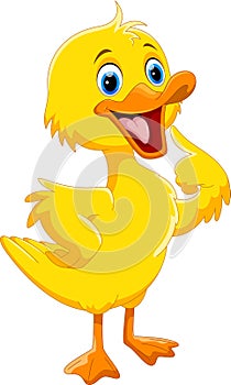 Cute duck cartoon