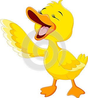 Cute duck laugh cartoon