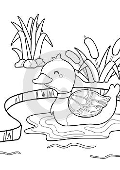 Cute Duck Pond Animal Coloring Pages A4 for Kids and Adult