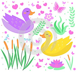 Cute duck set objects. Collection design elements with reeds, water lily, flowers, plants. Kids baby clip art funny