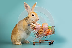 Cute eared rabbit with cart full of Easter eggs on isolated blue background