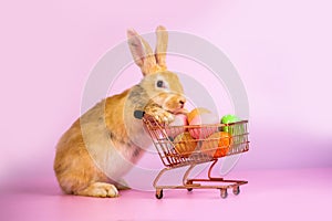 Cute eared rabbit with cart full of Easter eggs on isolated pink background