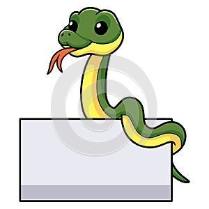 Cute easten racer snake cartoon with blank sign