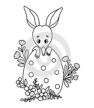 Cute Easter bilby with egg and flowers. Australian animal. Linear, outline drawing, coloring book. Kids collection