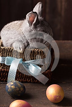 Cute easter bunny with colored eggs