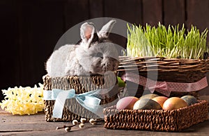 Cute easter bunny with colored eggs