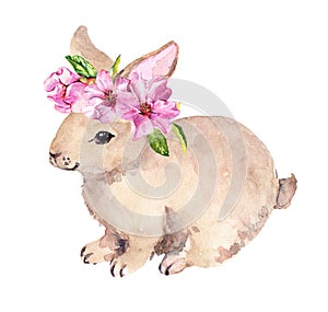 Cute Easter bunny, floral wreath with pink spring flowers. Watercolor with rabbit