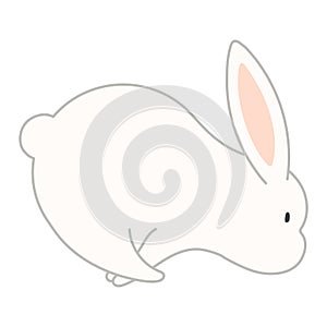 Cute Easter bunny, rabbit, hare jumping cartoon character illustration.