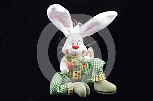 Cute easter bunny sitting photo