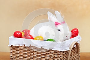 Cute easter bunny sitting in basket with colorful eggs - closeup