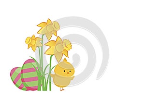 Cute easter chick with painted eggs and daffodils vector