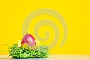 Cute easter egg with green nest