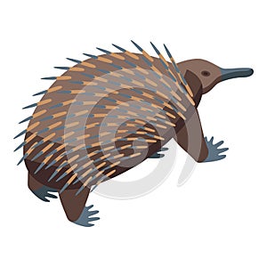 Cute echidna icon isometric vector. Animal nature