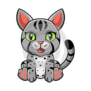 Cute egyptian mau cat cartoon