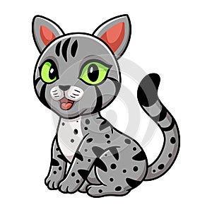 Cute egyptian mau cat cartoon