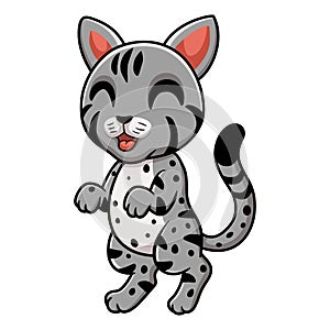 Cute egyptian mau cat cartoon