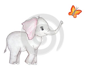 Cute elephant with butterfly. Watercolor hand drawn illutration