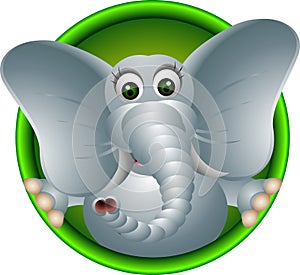 Cute elephant cartoon