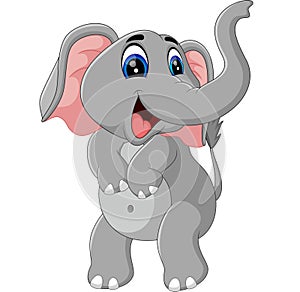 Cute elephant cartoon