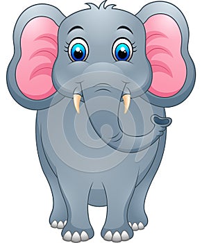 Cute elephant cartoon