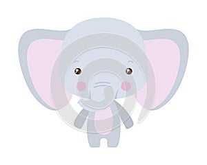 Cute elephant cartoon vector design