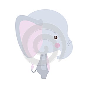 Cute elephant cartoon vector design